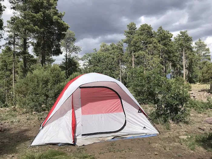 Mingus Mountain Camp Picture 5
