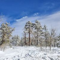 Playground Group Campground ico