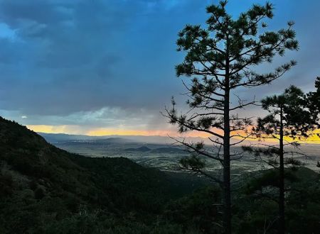 Potato Patch Campground