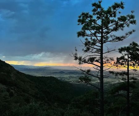 Potato Patch Campground