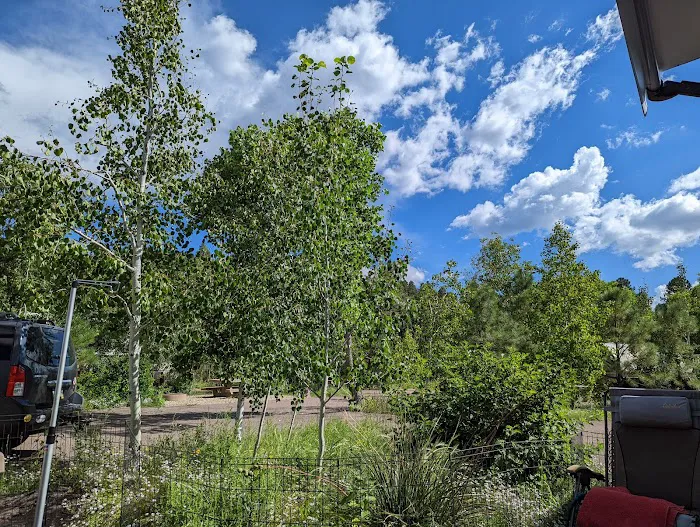 Potato Patch Campground Picture 5