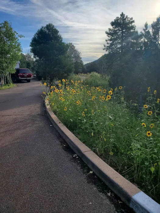 Potato Patch Campground Picture 8