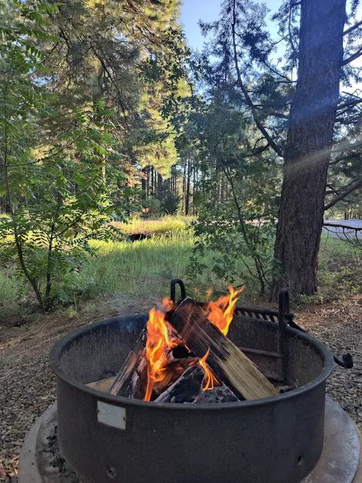 Potato Patch Campground Picture 7