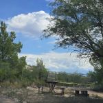 Cooper's Hawk Loop