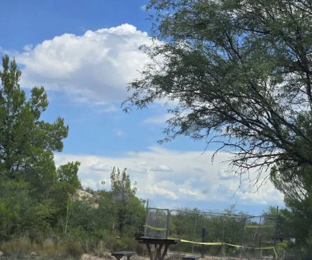 Cooper's Hawk Loop