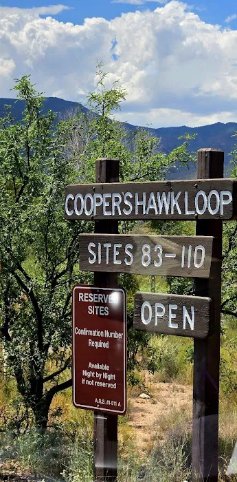 Cooper's Hawk Loop Picture 8
