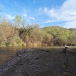 Shores Campground