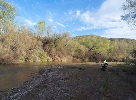 Shores Campground