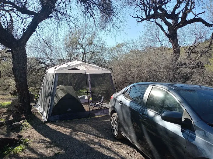 Shores Campground Picture 4