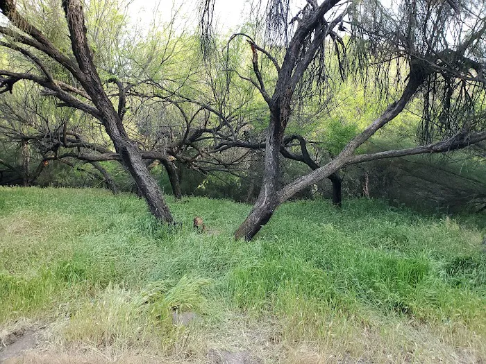 Shores Campground Picture 7