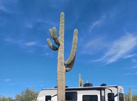 Cactus Forest Campground