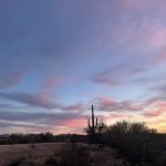 Pump Station BLM
