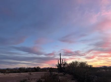 Pump Station BLM
