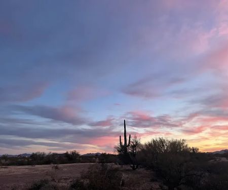 Pump Station BLM
