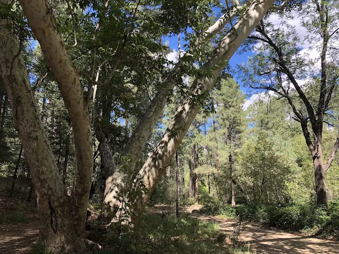 Rose Creek Campground Picture 1