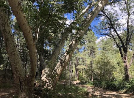 Rose Creek Campground