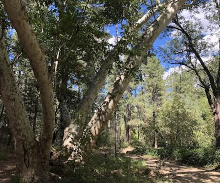 Rose Creek Campground