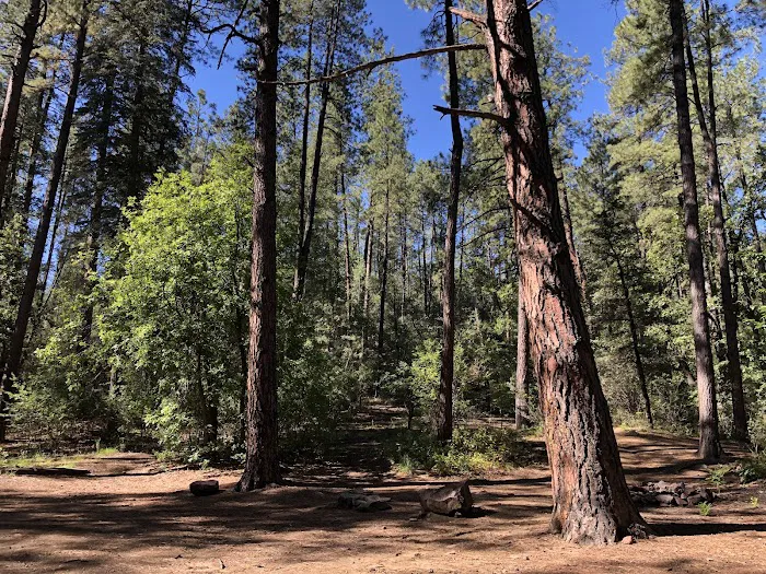 Rose Creek Campground Picture 2