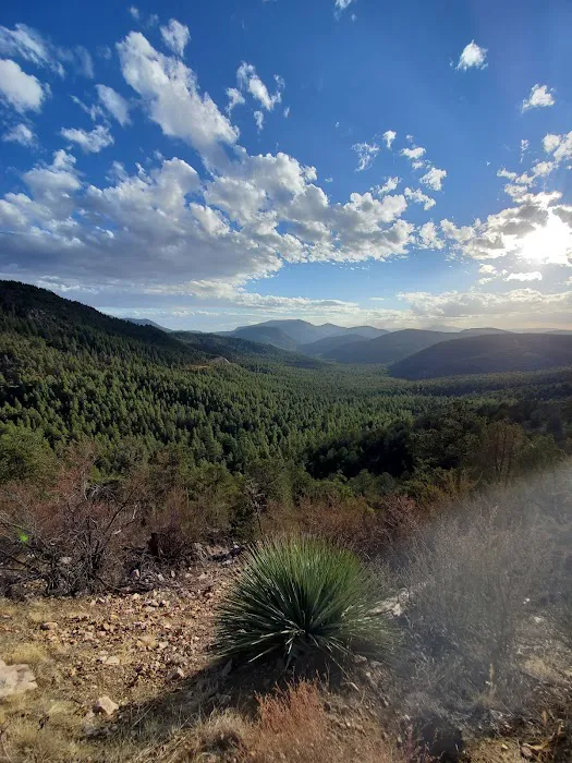 Rose Creek Campground Picture 4