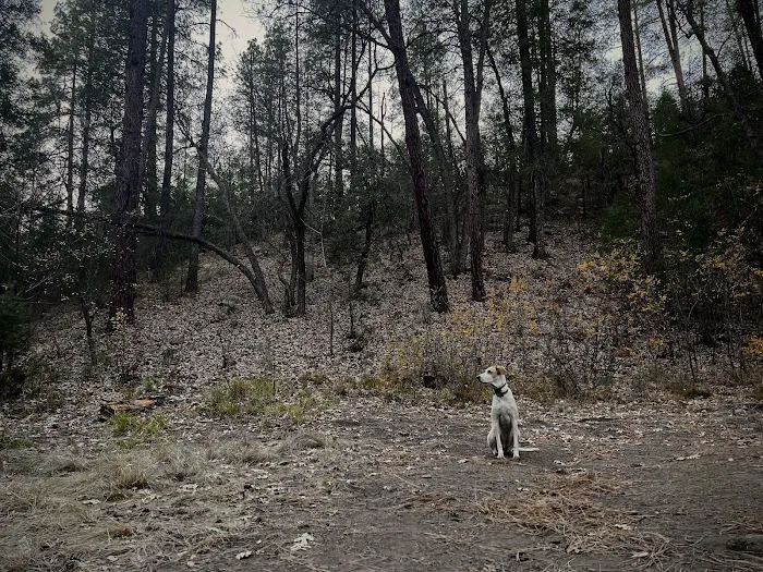 Rose Creek Campground Picture 6