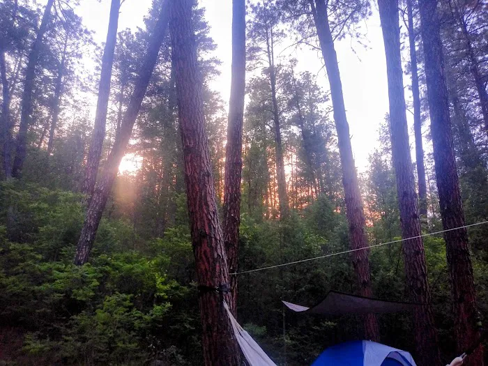 Rose Creek Campground Picture 9