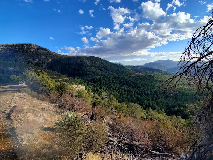 Rose Creek Campground Picture 10