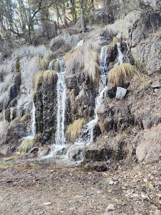 Workman Creek Picture 2