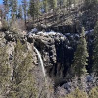 Workman Creek ico