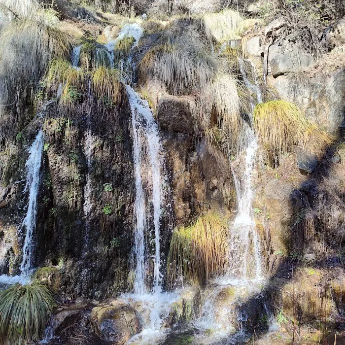 Workman Creek Picture 7