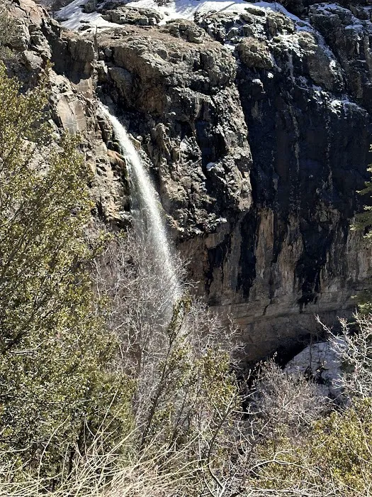 Workman Creek Picture 10