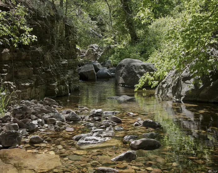 Reynolds Creek Picture 2