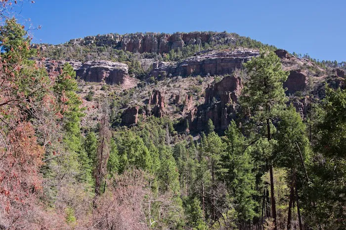 Reynolds Creek Picture 1