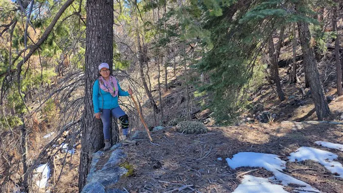 Reynolds Creek Picture 6