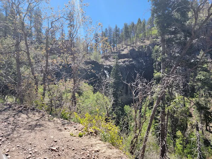 Reynolds Creek Picture 8