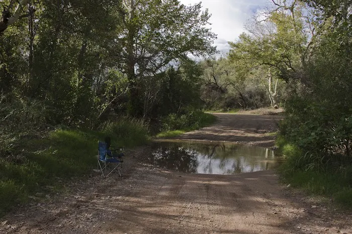 Coon Creek Picture 1