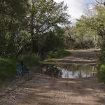 Coon Creek