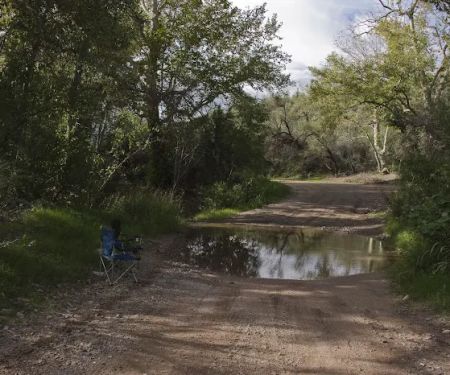 Coon Creek