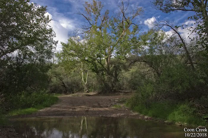 Coon Creek Picture 5