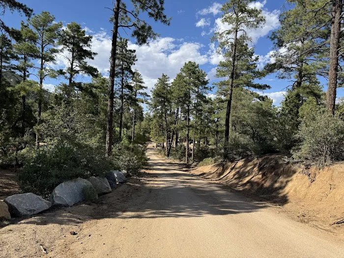 Alto Pit OHV Picture 3