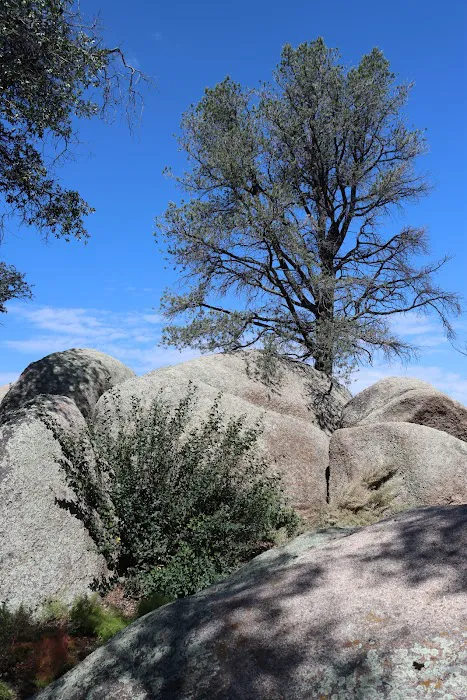 Yavapai Campground Picture 7