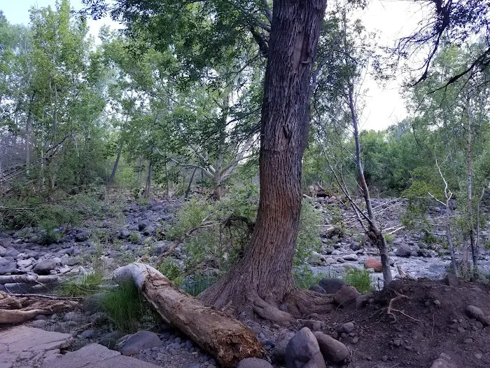 Lawrence Crossing Campground Picture 9