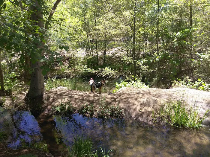 Lawrence Crossing Campground Picture 10