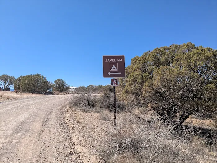 Javelina Campsite Picture 1