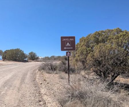 Javelina Campsite