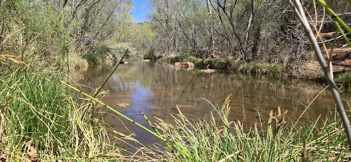 Javelina Campsite Picture 6