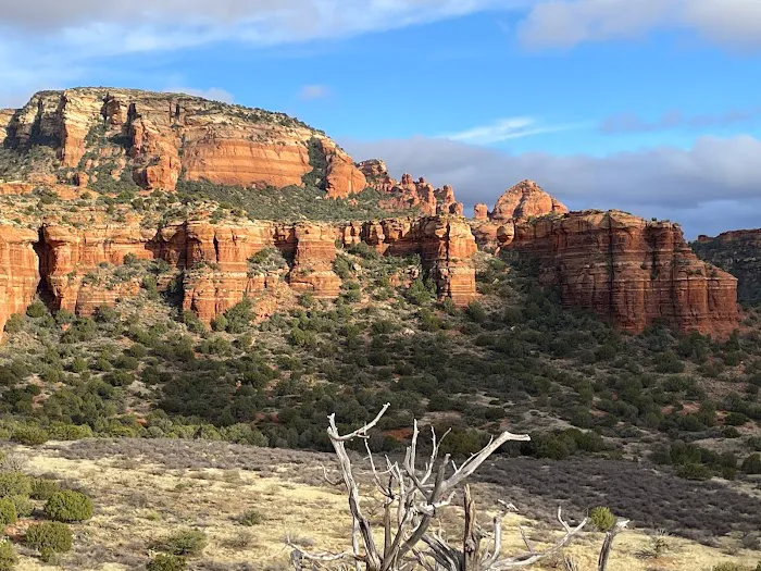 Surprise Designated Camping Area - Coconino National Forest Picture 1