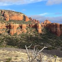 Surprise Designated Camping Area - Coconino National Forest ico