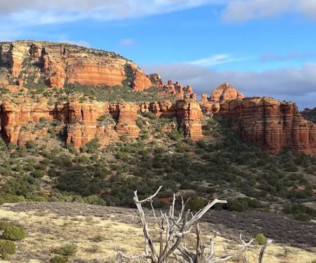 Surprise Designated Camping Area - Coconino National Forest