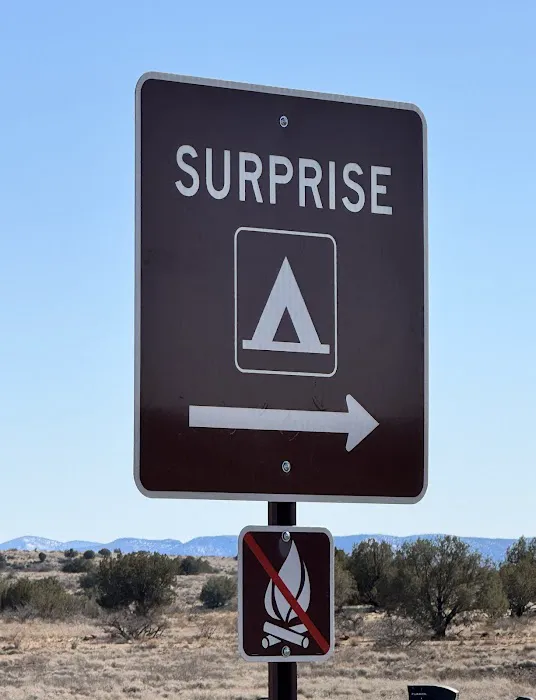 Surprise Designated Camping Area - Coconino National Forest Picture 6