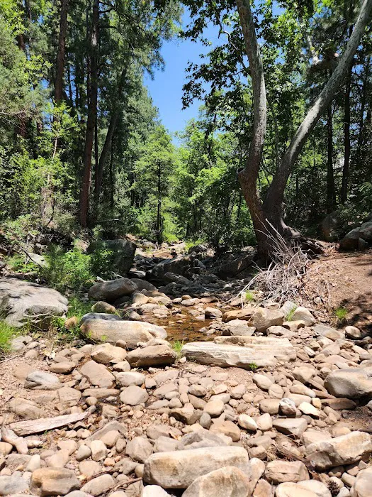 LoMia Recreation Camp Picture 10